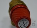Предохранительный клапан 3000кПа1/2"-1/2"-вн  Protherm арт. 0020025271 